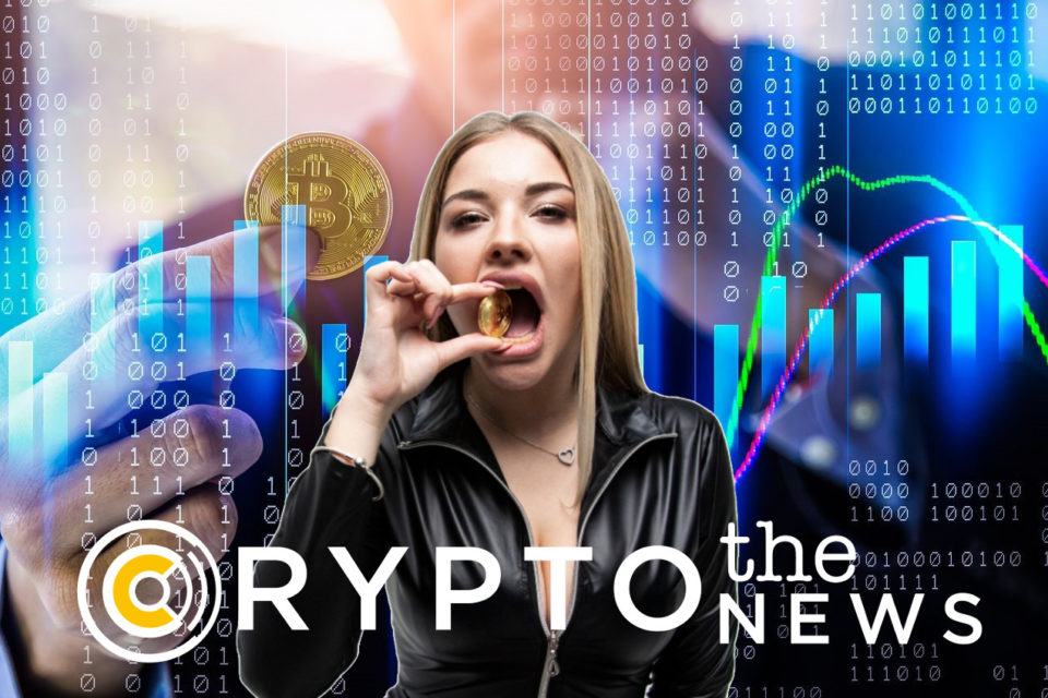 Traditional Investors Are Getting More Interested in Crypto